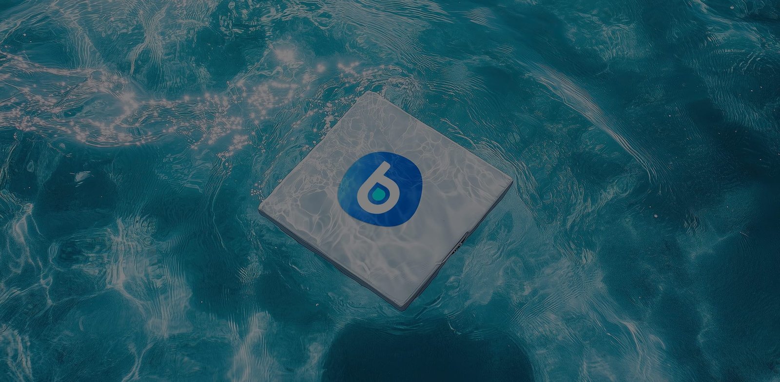 https://branduostudio.com/wp-content/uploads/2026/09/bluve-banner.jpg